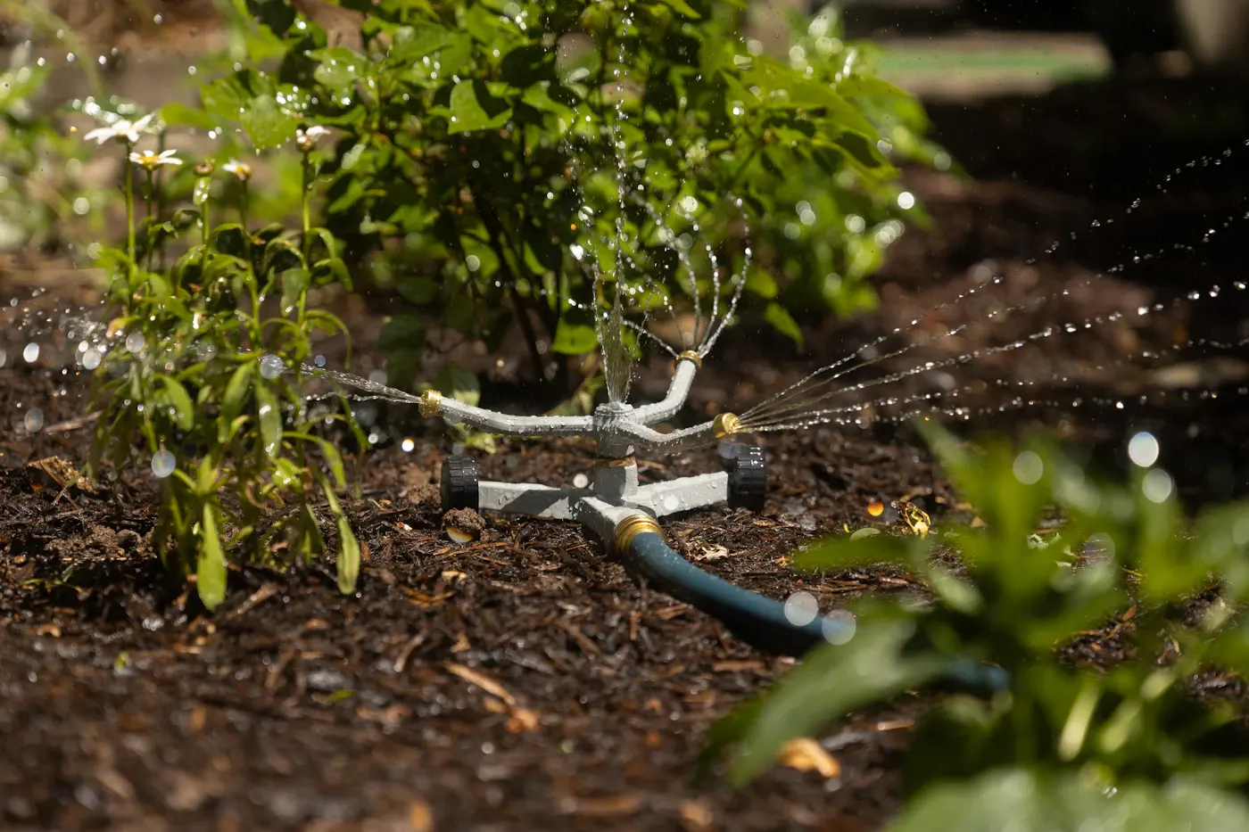 A garden sprinkler watering plants and soil